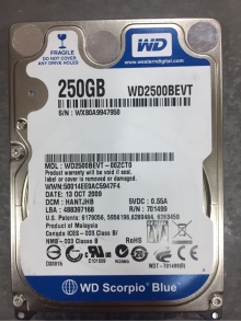 WD2500BEVT-00ZCT0