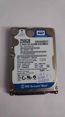 WD2500BEVT-80A23T0