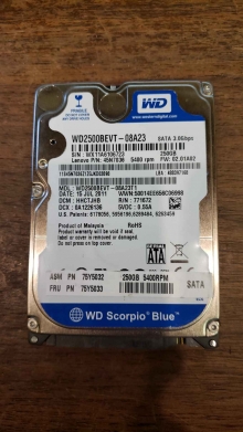 WD2500BEVT-08A23T1